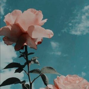 Meet your Posher, Fatima